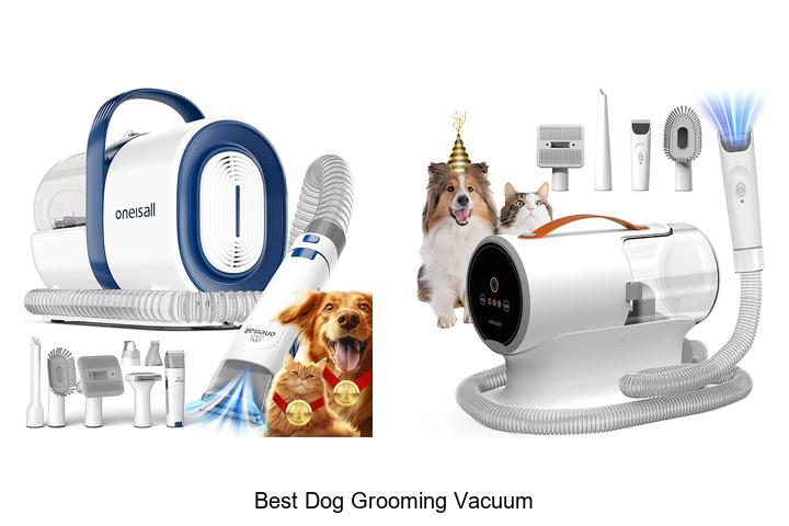 Best Dog Grooming Vacuum That Will Blow Your Mind!