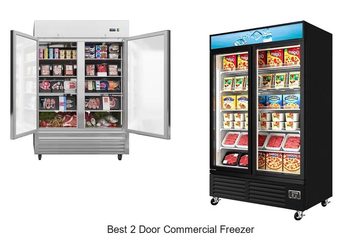 Best 2 Door Commercial Freezer That Will Save Your Business!
